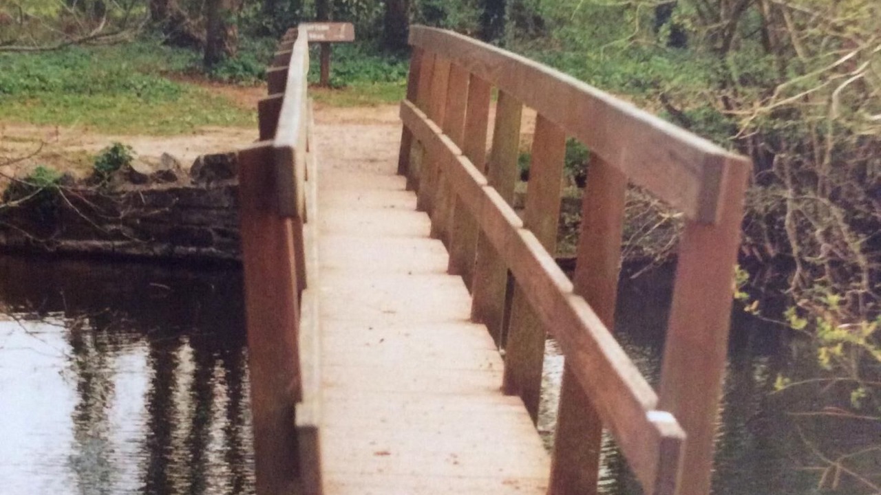 Photo of Others in Bishop Sutton