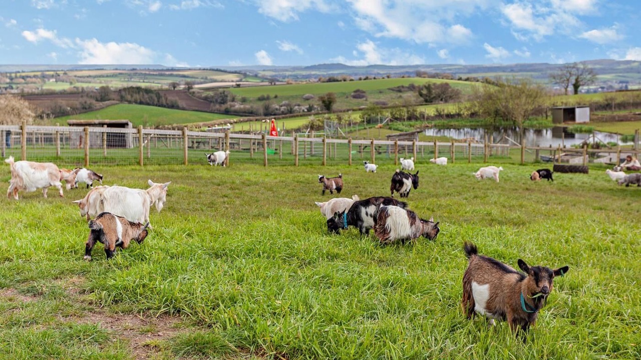 Photo of Others in Chew Magna
