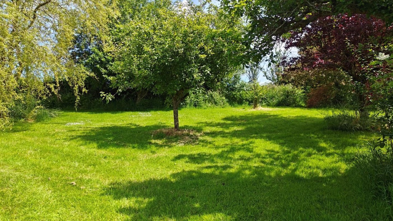 Photo of Others in Lydney