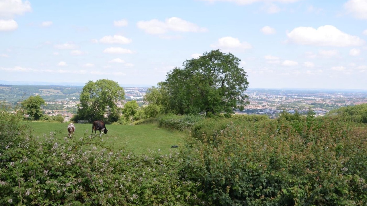 Photo of Others in Dundry