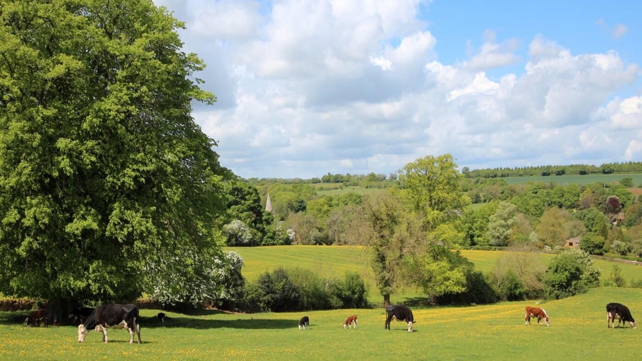 Photo of Others in Whichford