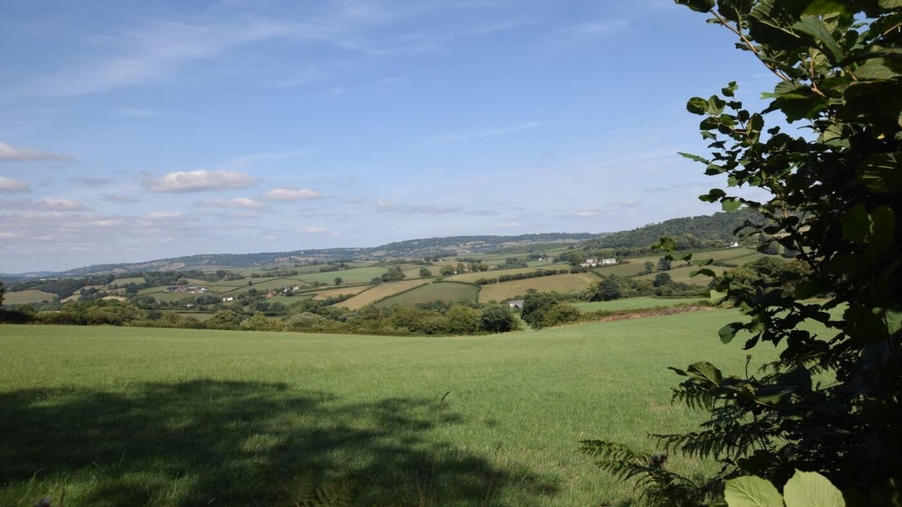 Photo of Others in Usk