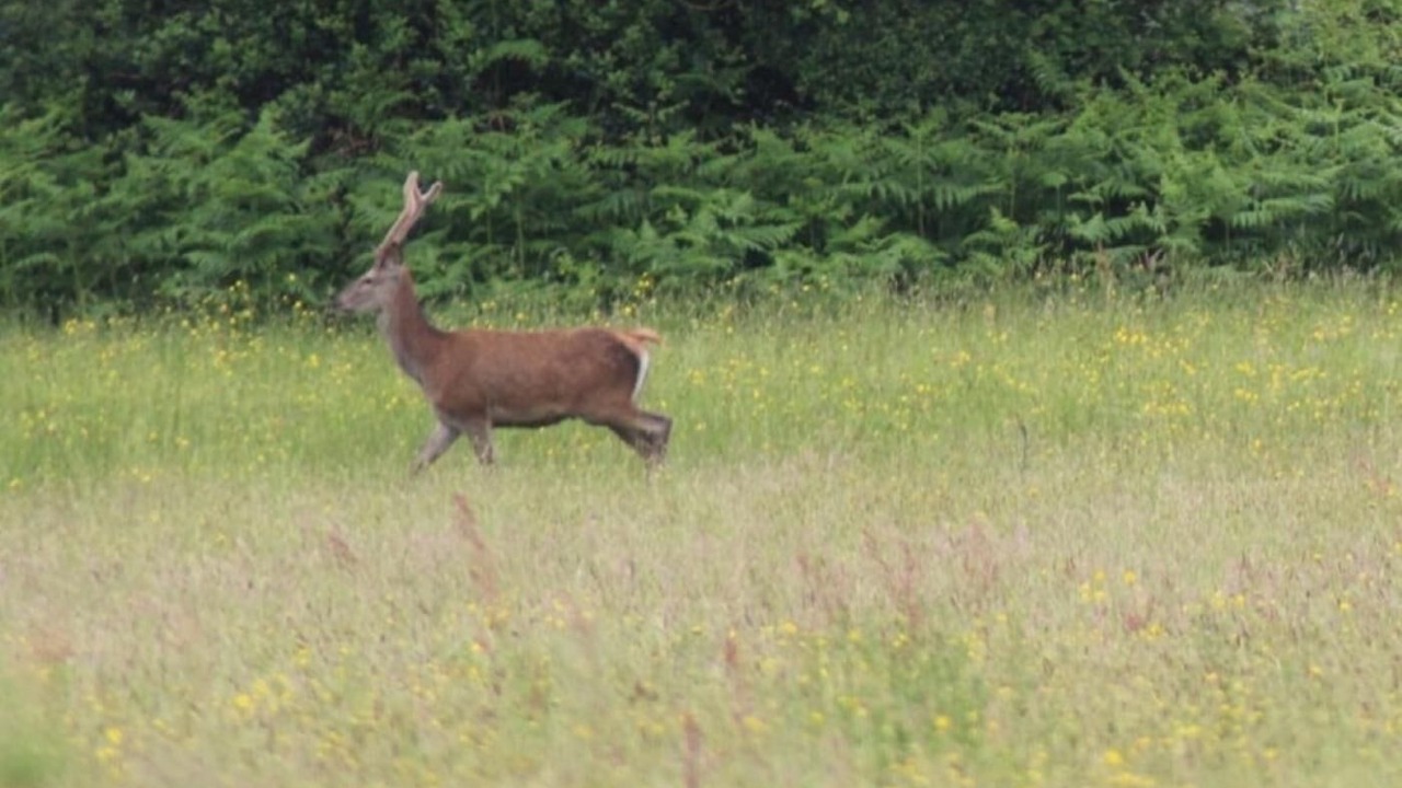 Photo of Others in Usk