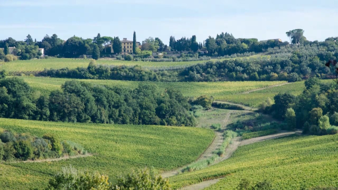 Photo of Others in Montespertoli