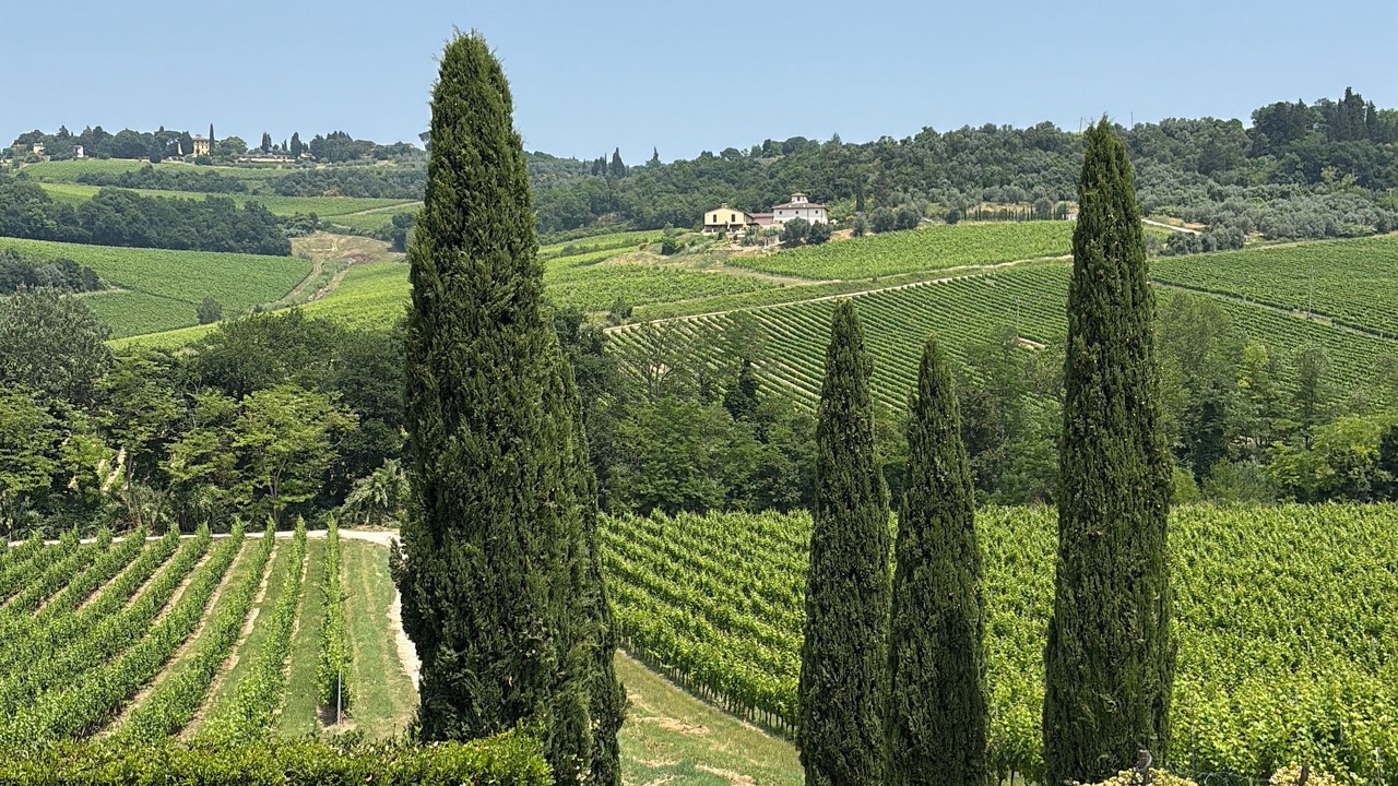 Photo of Outdoor in Montespertoli