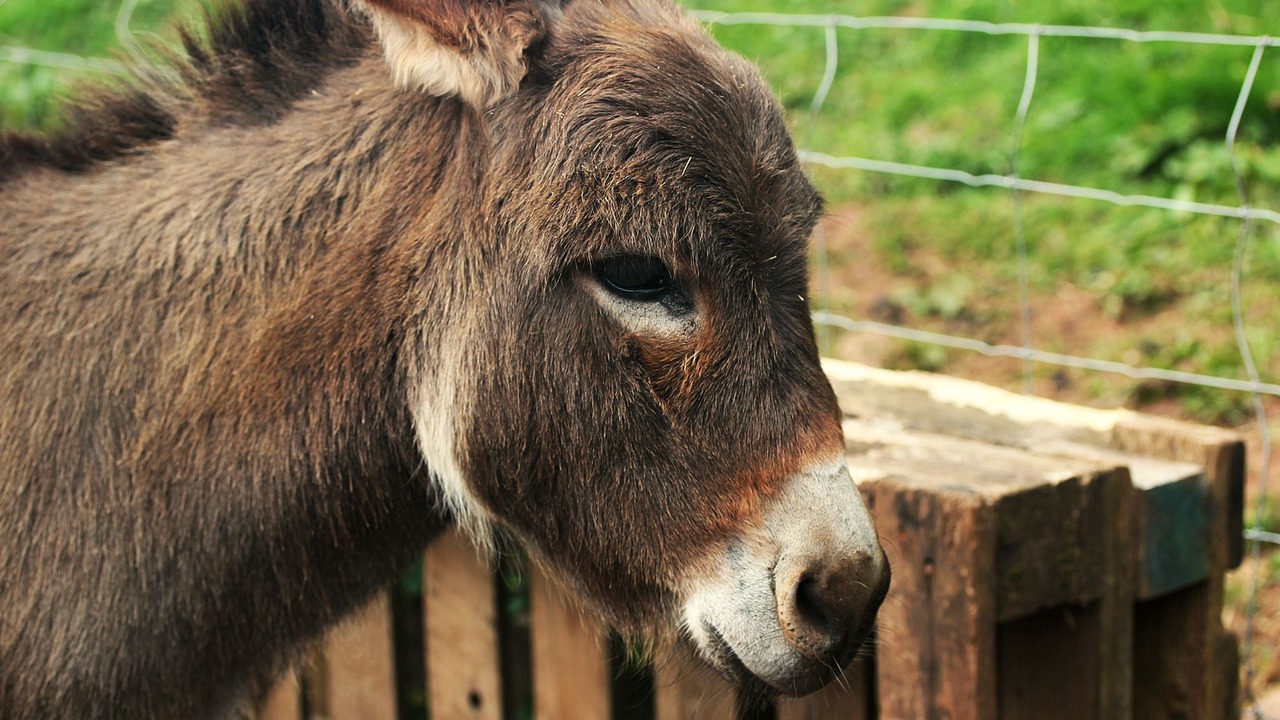 Photo of Others in Monmouth