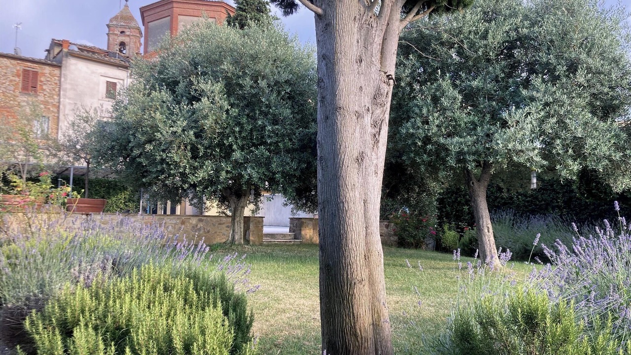 Photo of Outdoor in Lucignano