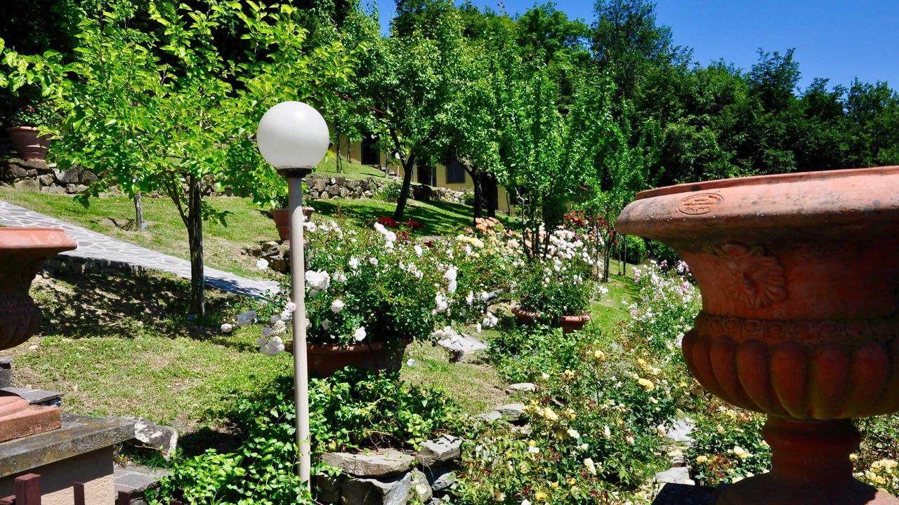 Photo of Outdoor in Gattaia