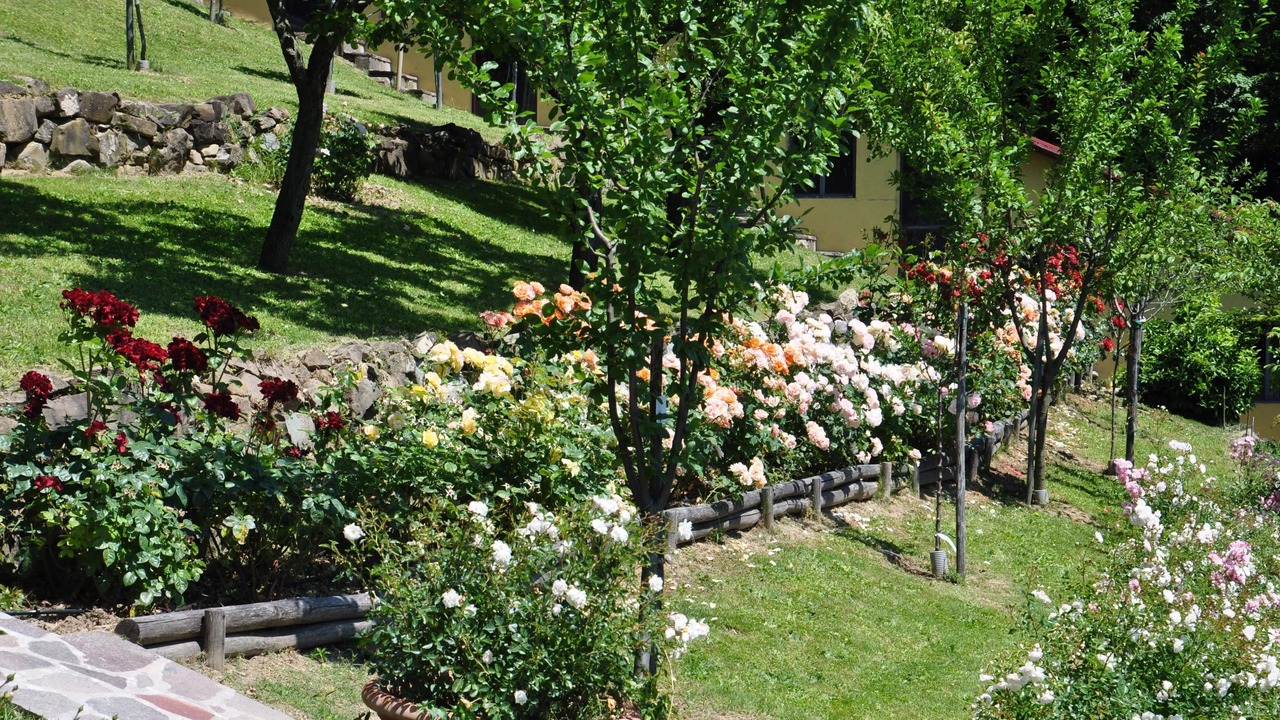 Photo of Outdoor in Gattaia