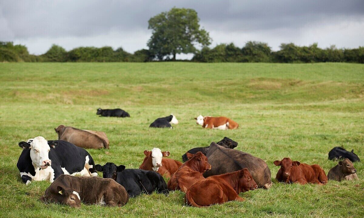 Photo of Others in Southrop