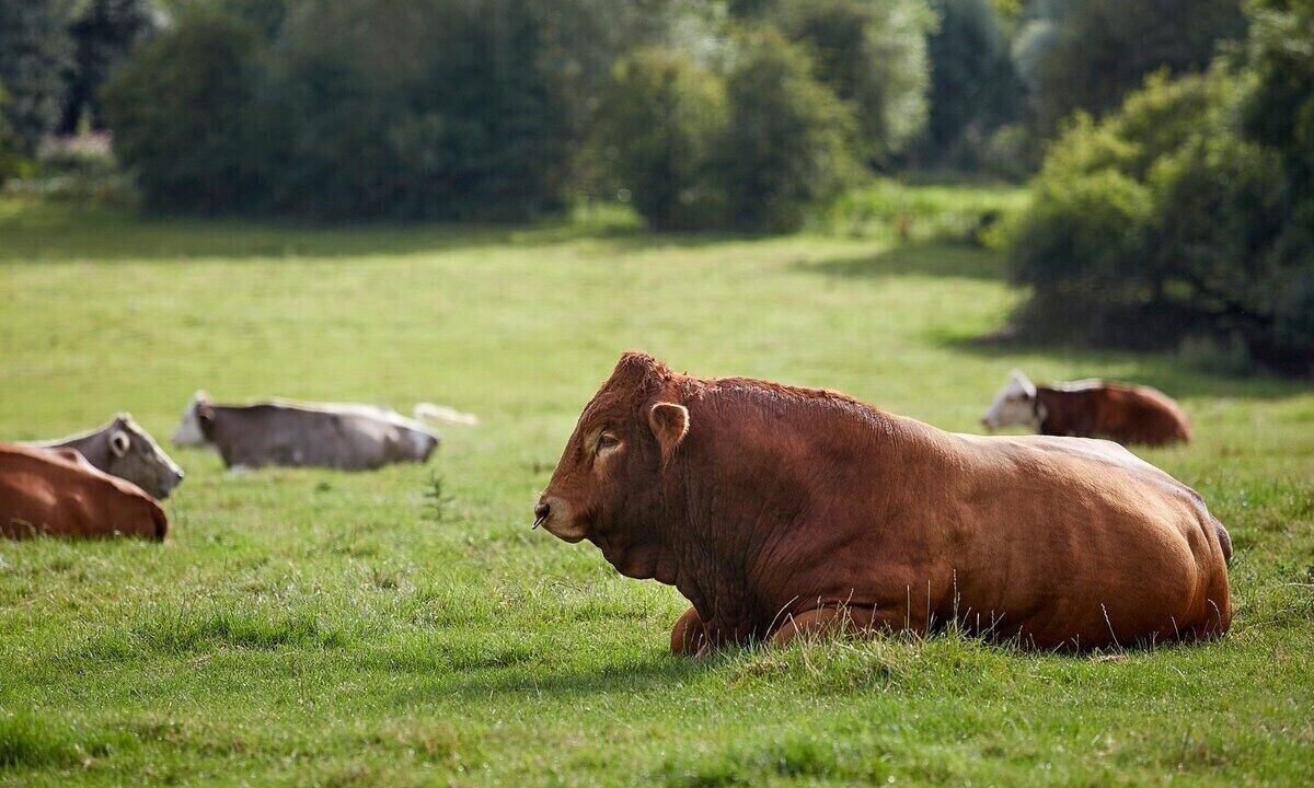 Photo of Others in Southrop