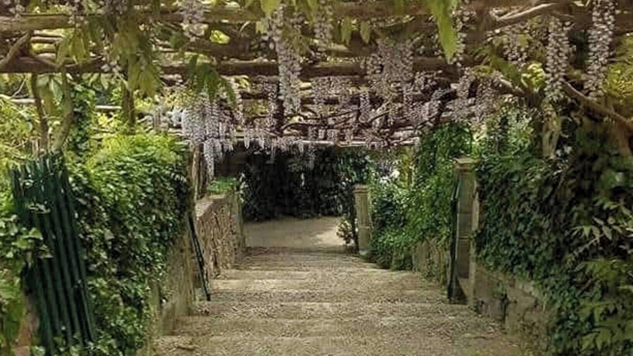 Photo of Outdoor in Bacchereto