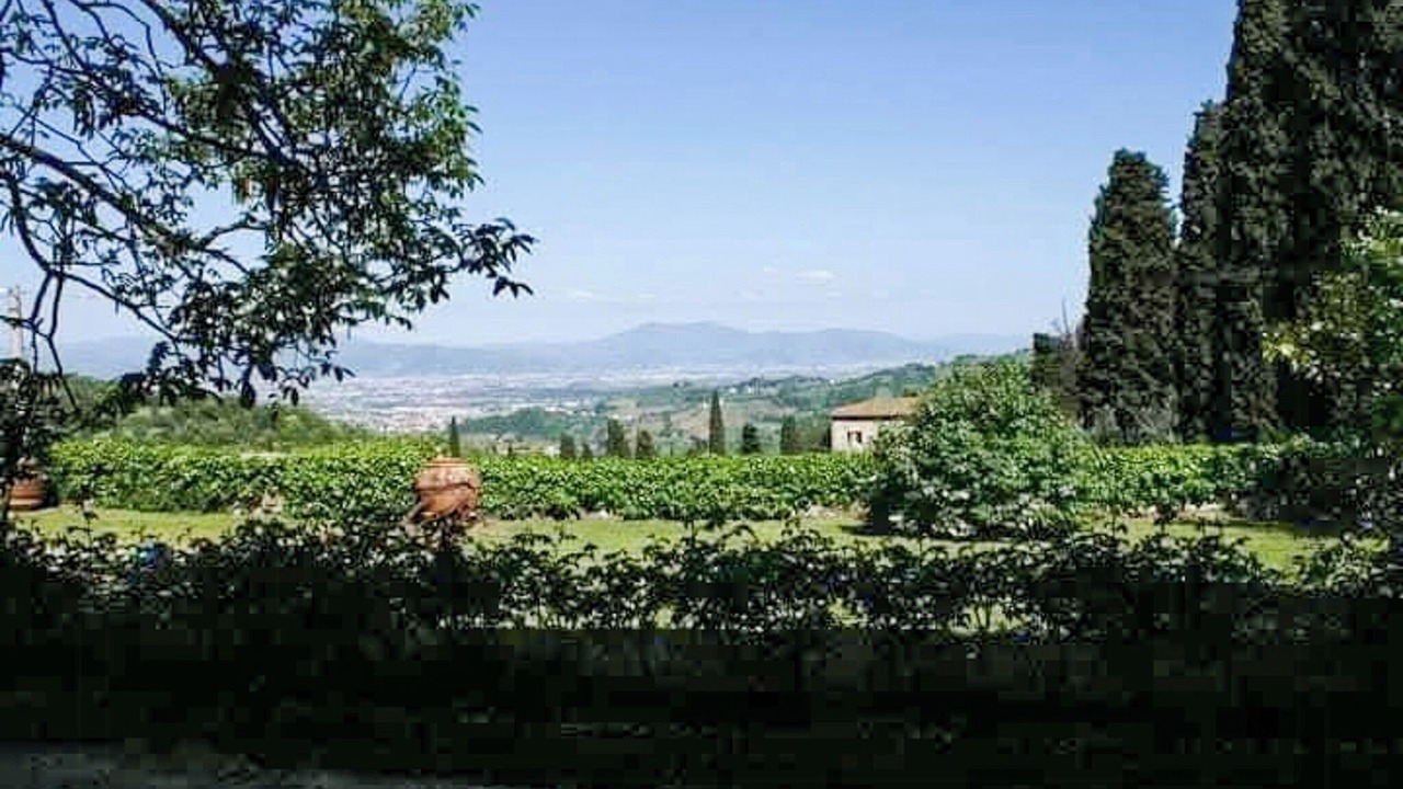 Photo of Outdoor in Bacchereto
