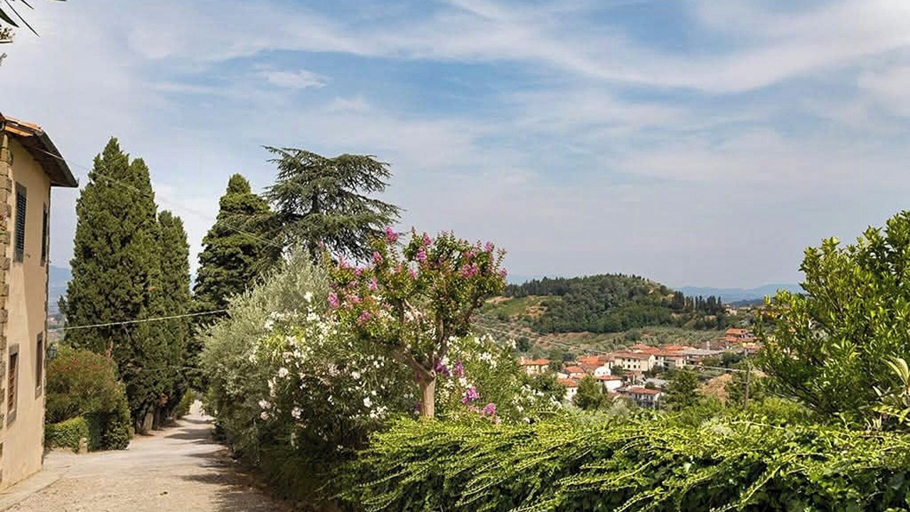 Photo of Outdoor in Bacchereto