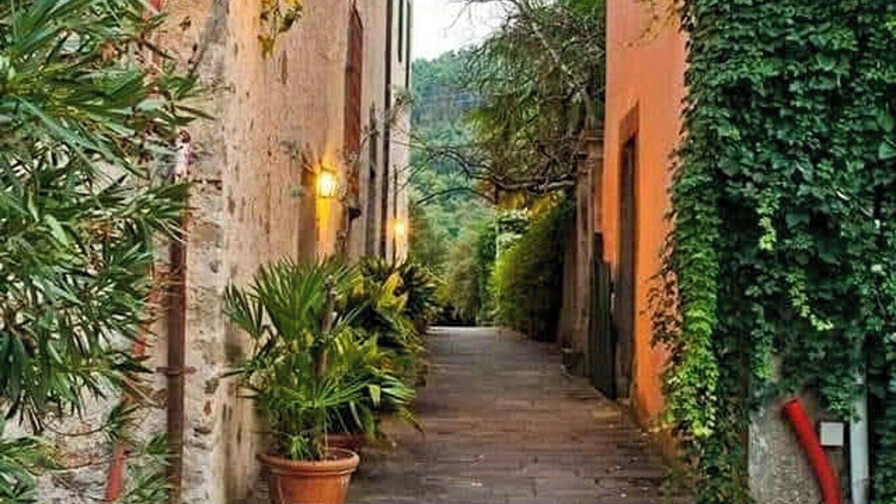 Photo of Outdoor in Bacchereto