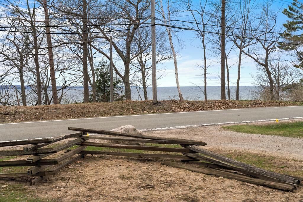 Photo of Others in Forest Beach