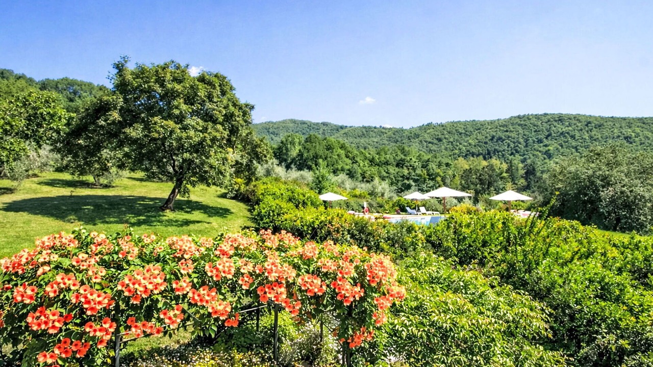 Photo of Outdoor in Londa