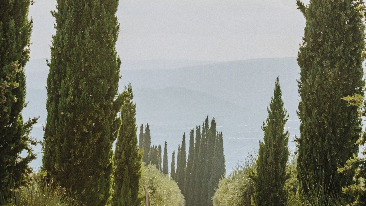 Photo of Others in Arezzo