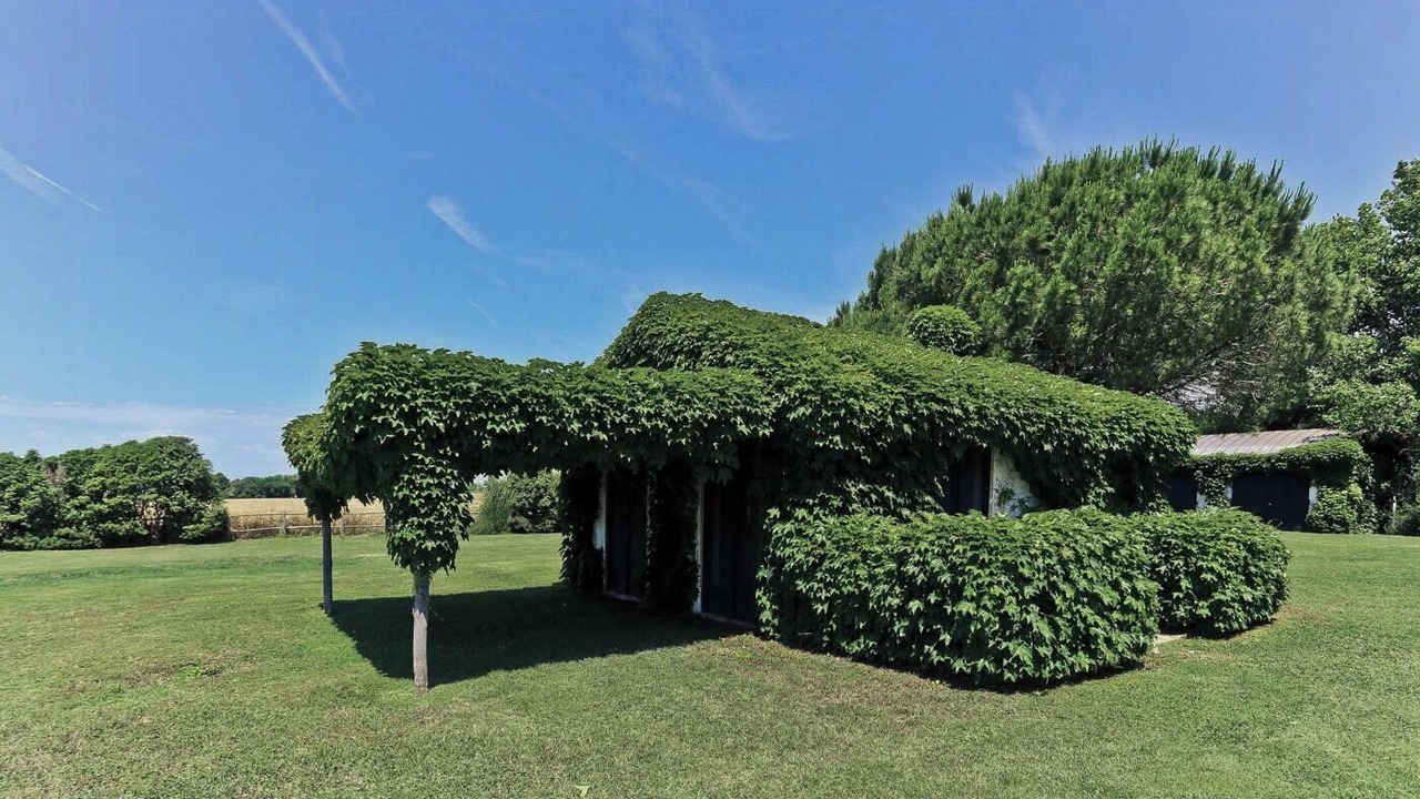 Photo of Outdoor in Capalbio