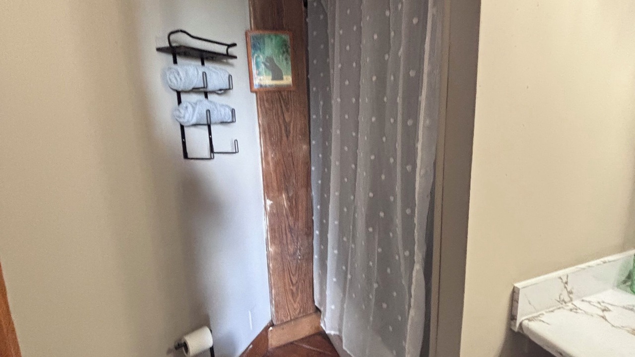 Photo of Bathroom in Mexicantown - Southwest Detroit
