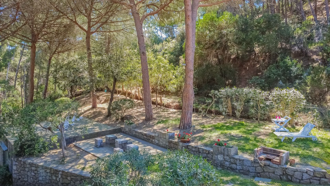 Photo of Outdoor in Fetovaia