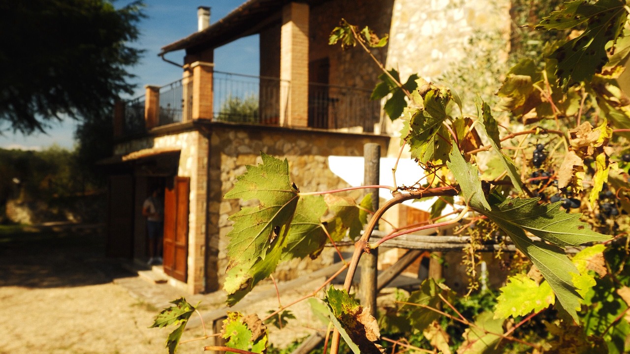 Photo of Outdoor in Geggiano