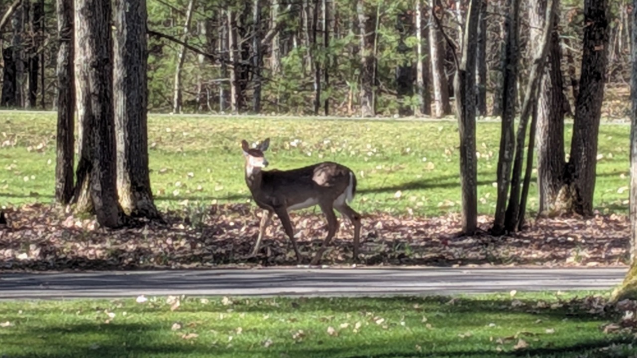 Photo of Others in Mayfield