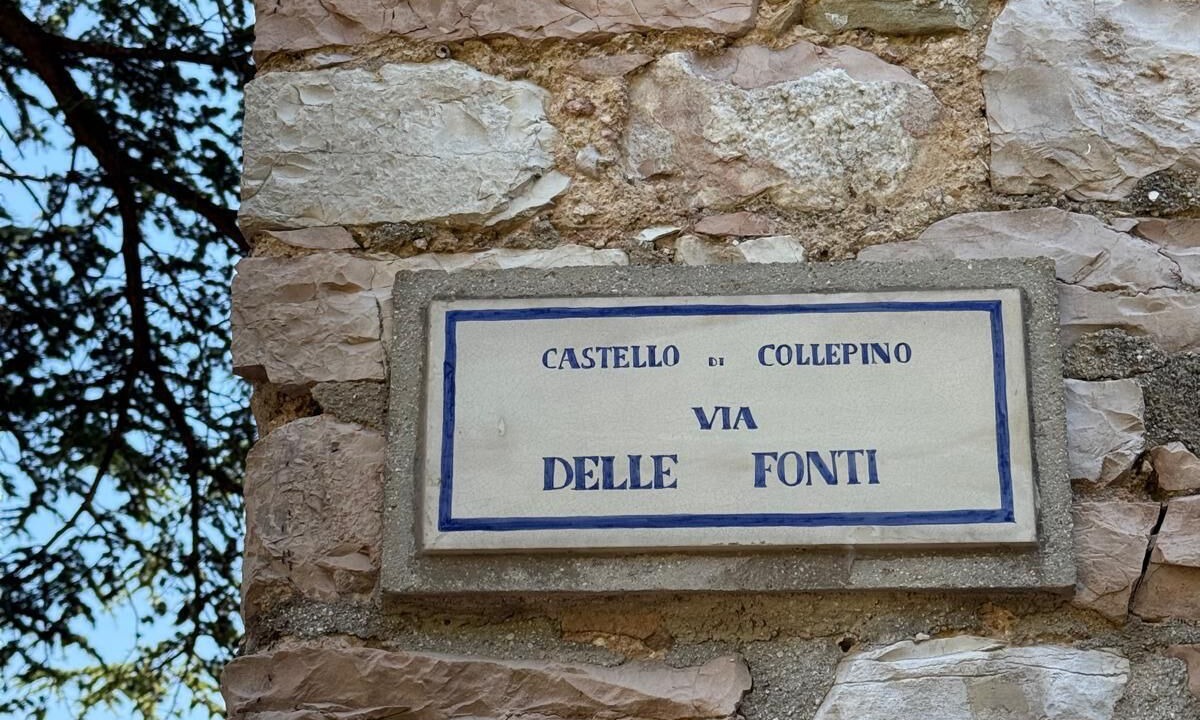 Photo of Others in Spello
