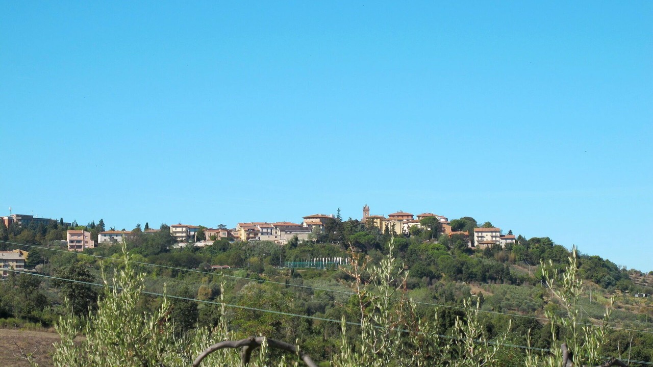 Photo of Others in Montaione