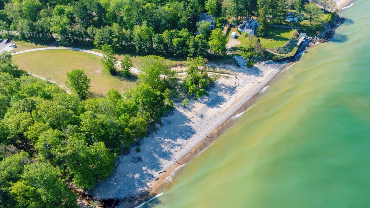 Photo of Others in South Haven