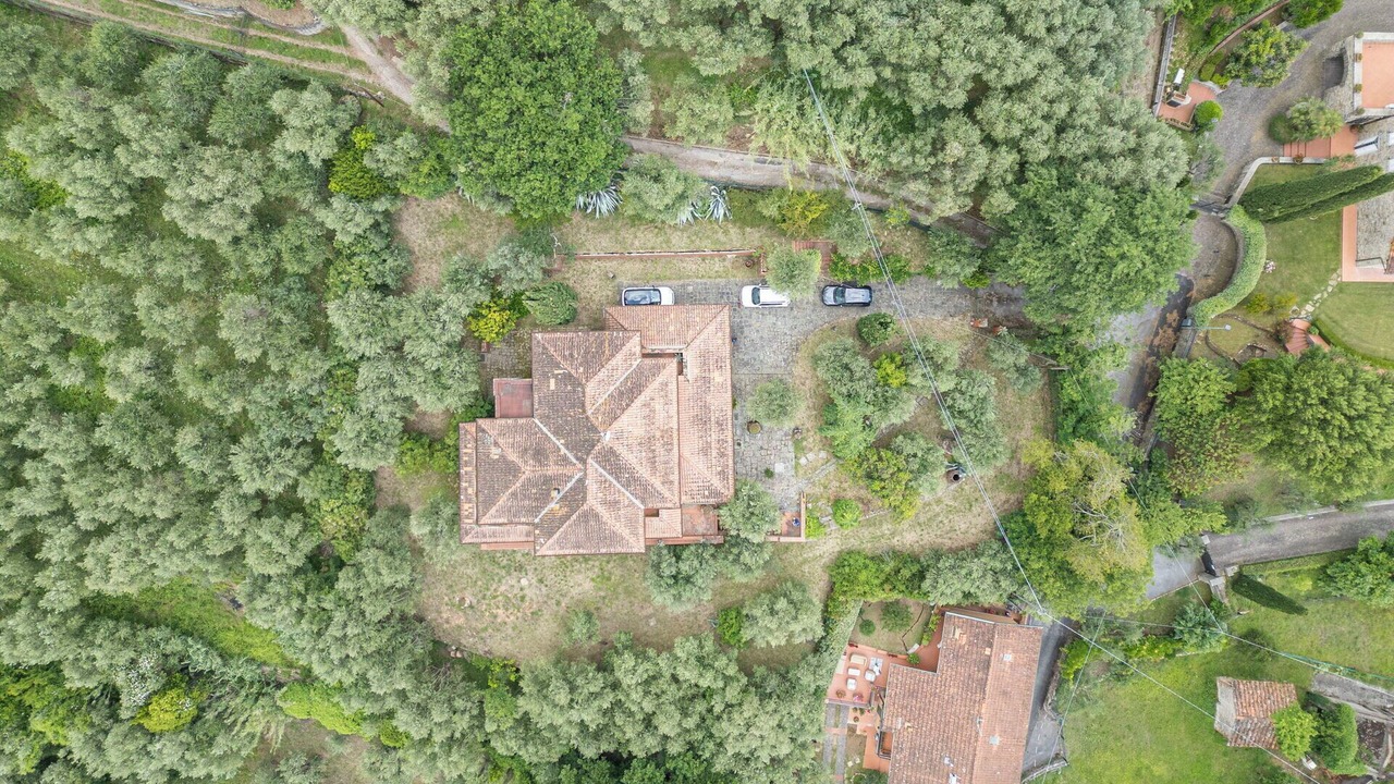 Photo of Others in Monsummano Terme