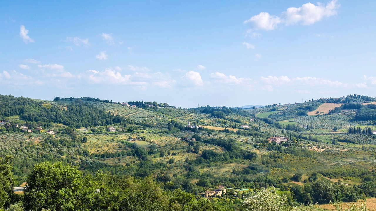 Photo of Others in Sesto Fiorentino