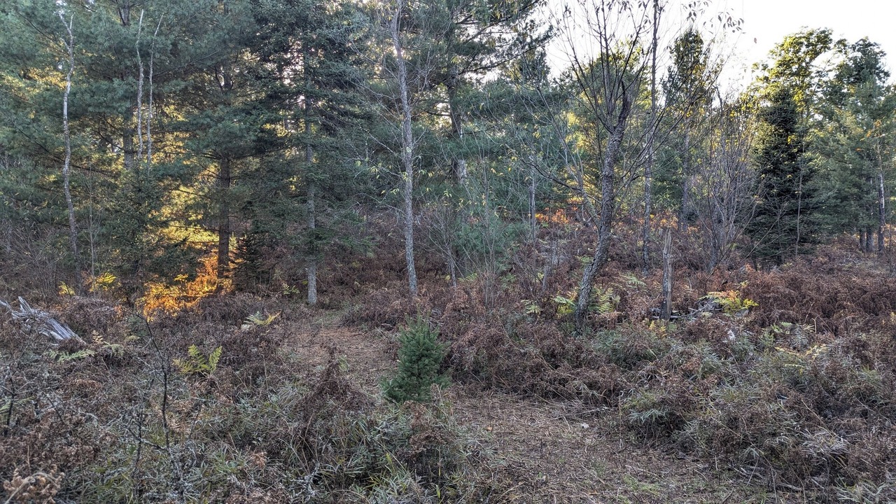 Photo of Others in Herron