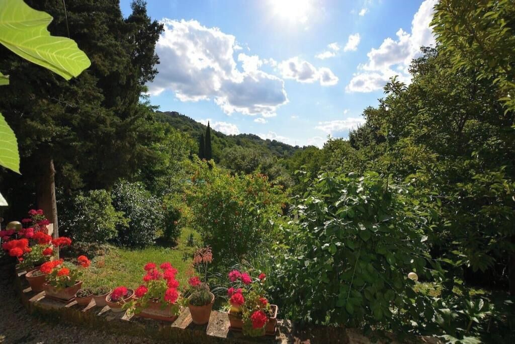 Photo of Outdoor in Radicondoli