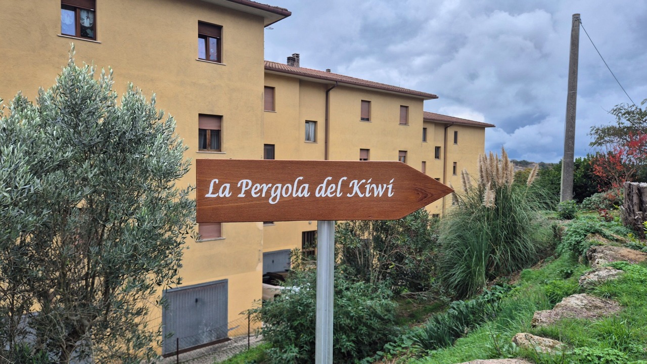 Photo of Outdoor in Pitigliano