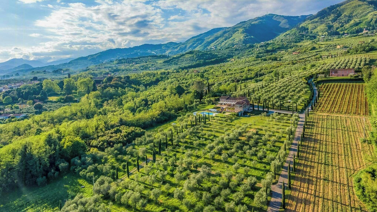 Photo of Outdoor in Capannori