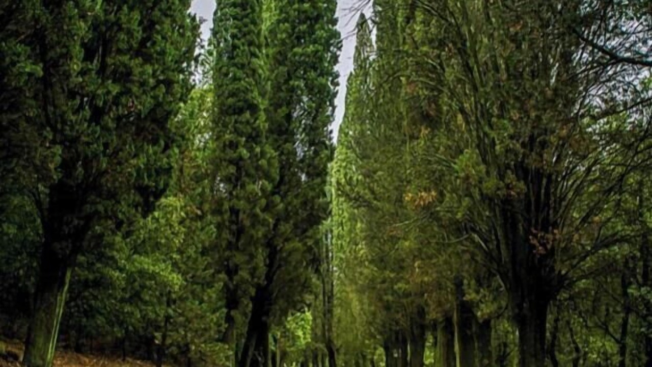 Photo of Others in Calenzano