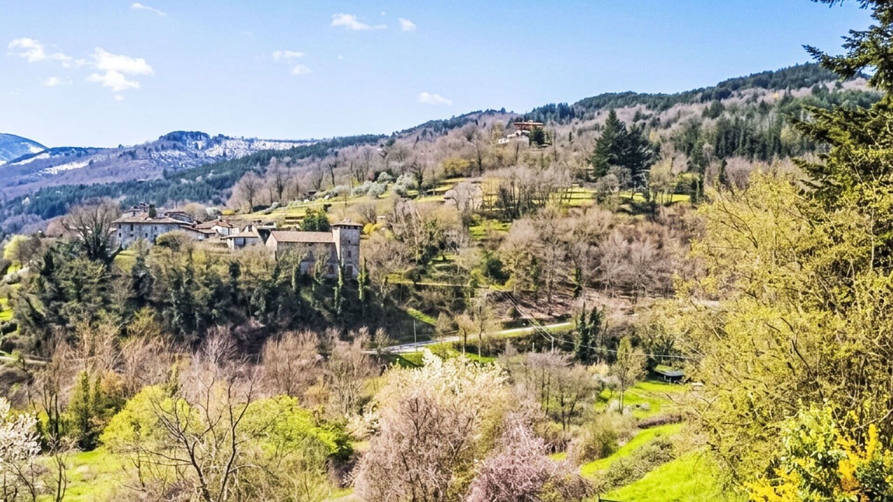 Photo of Others in Starda