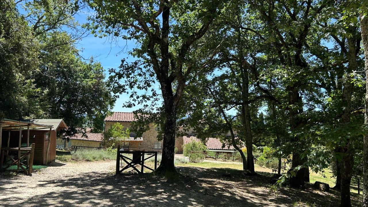 Photo of Outdoor in Simignano