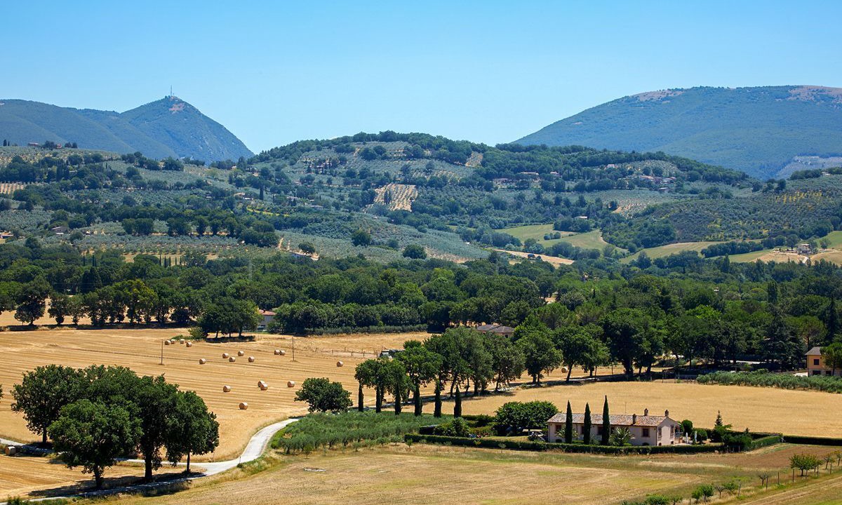 Photo of Others in Spello