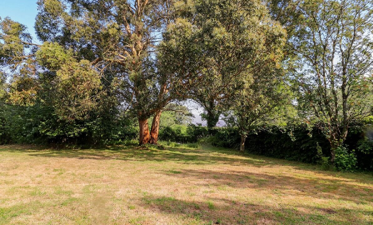 Photo of Others in Hinton Blewett