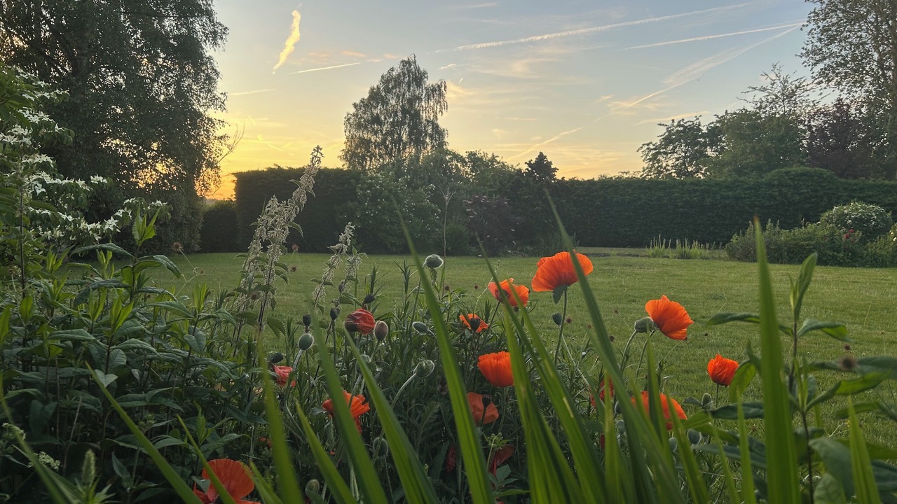 Photo of Outdoor in Lapworth