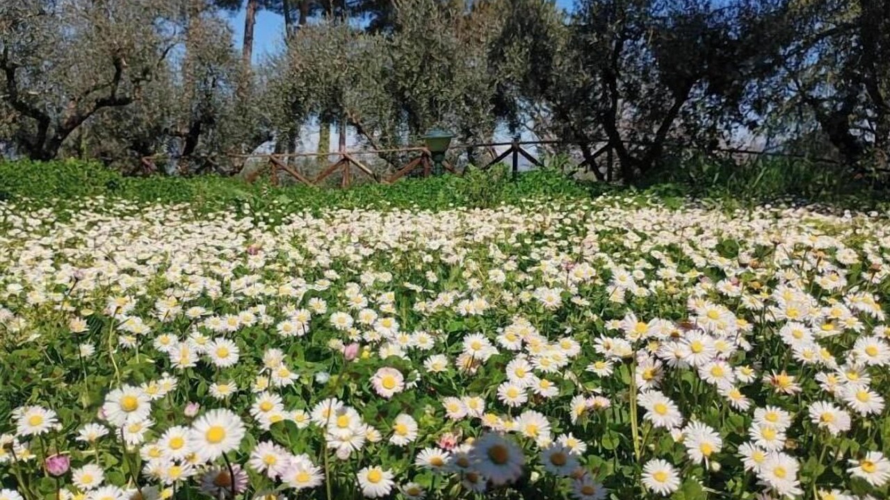 Photo of Outdoor in Pietrauta