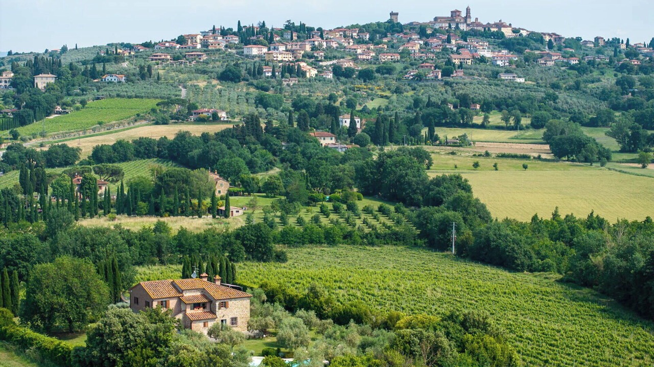 Photo of Others in Lucignano
