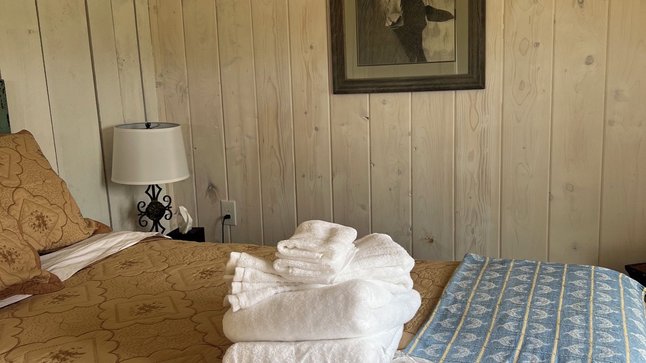 Photo of Bedroom in Petoskey