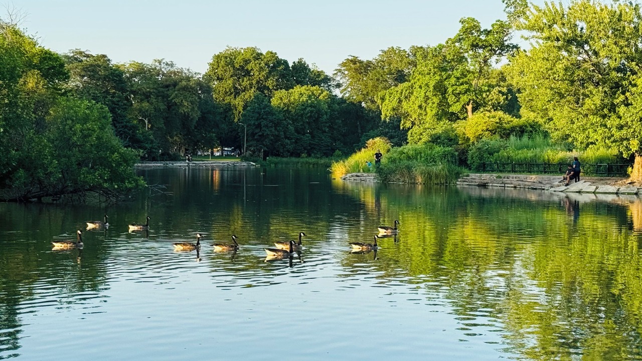 Photo of Others in Ducktown