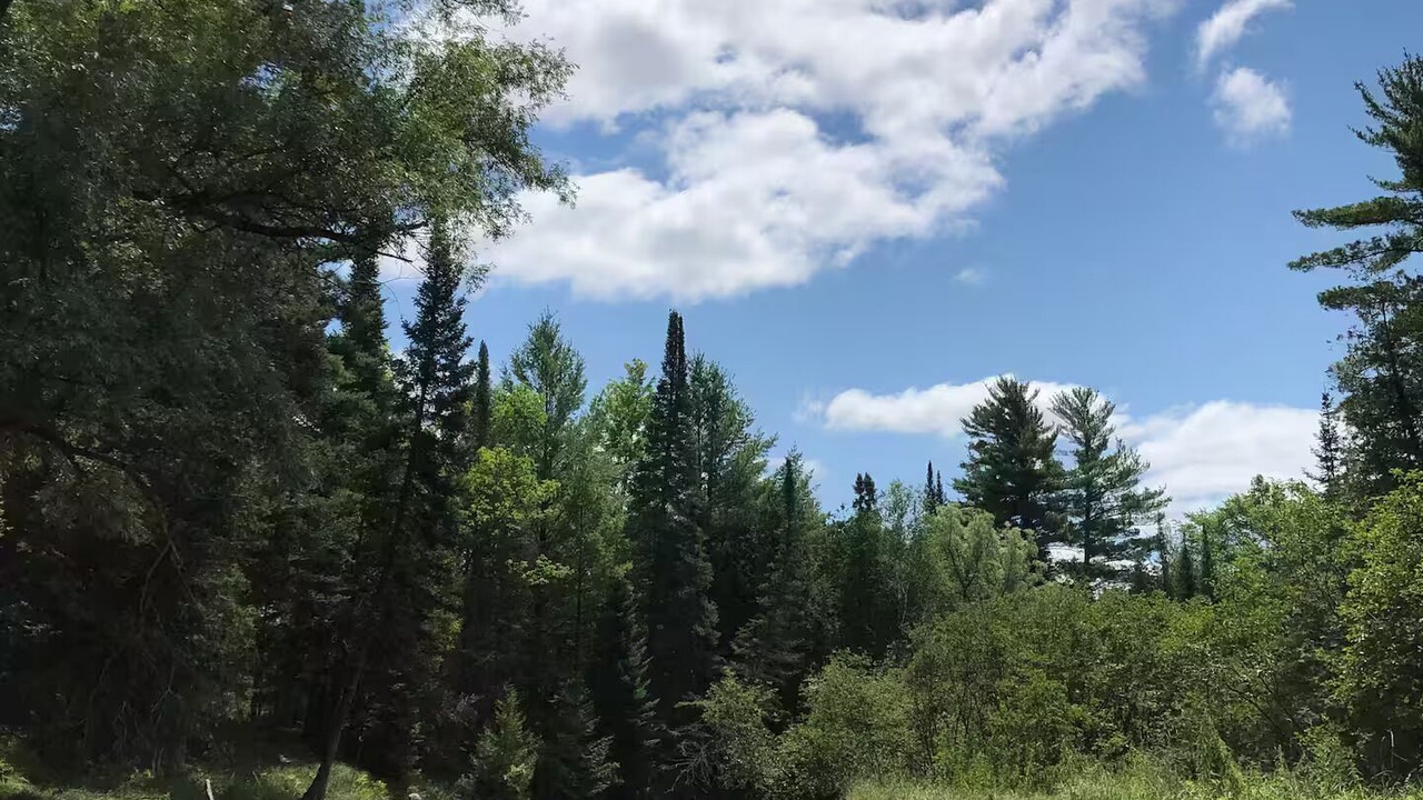 Photo of Others in Kalkaska