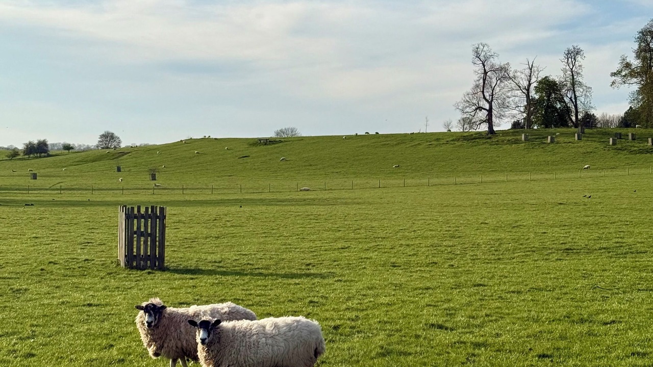 Photo of Others in Alcester