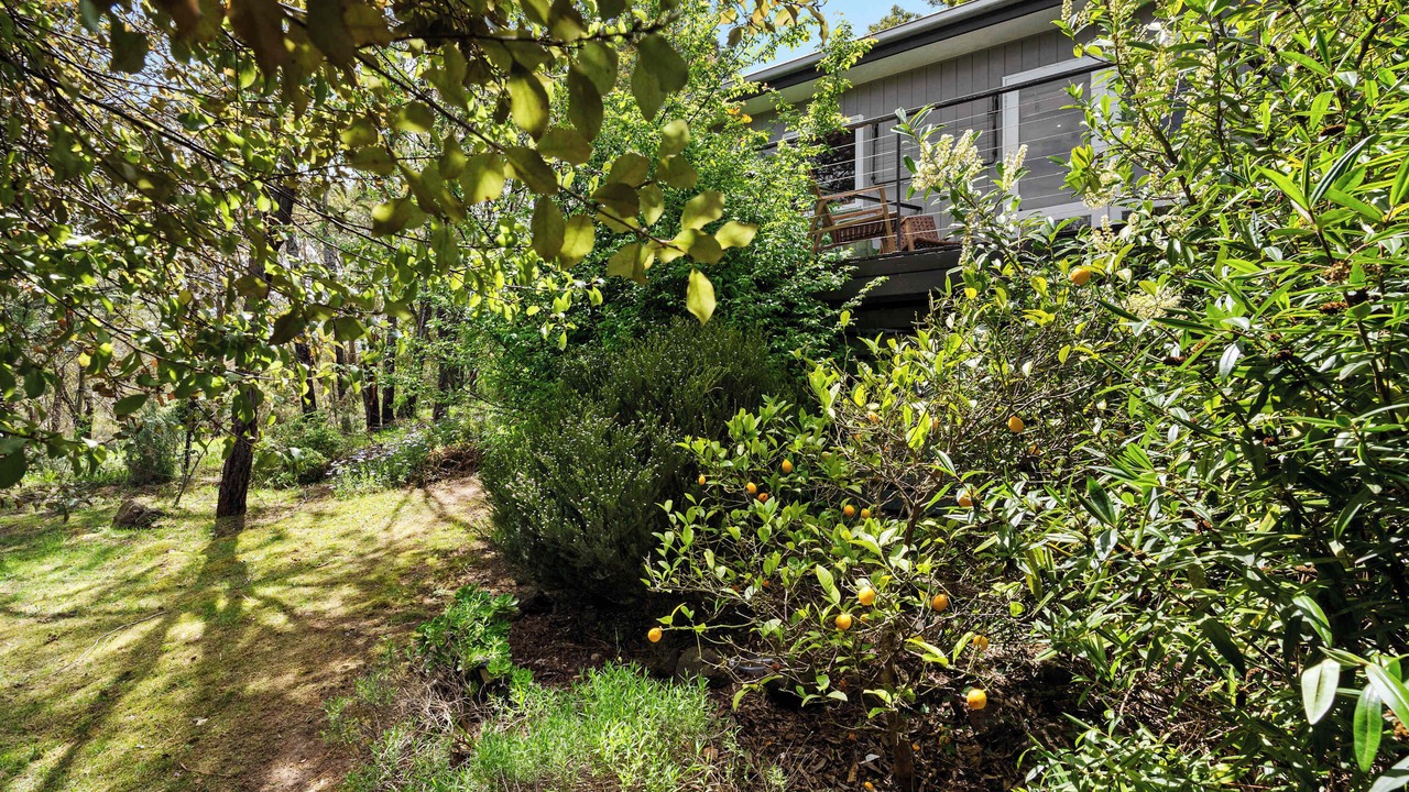 Photo of Outdoor in Daylesford