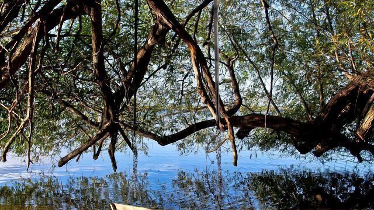 Photo of Others in Carp Lake